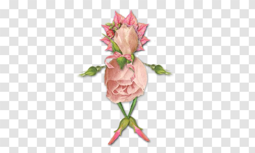 Garden Roses Photograph Vector Graphics Image - Rose Family - Souvent Fleur Chauvesouris Transparent PNG