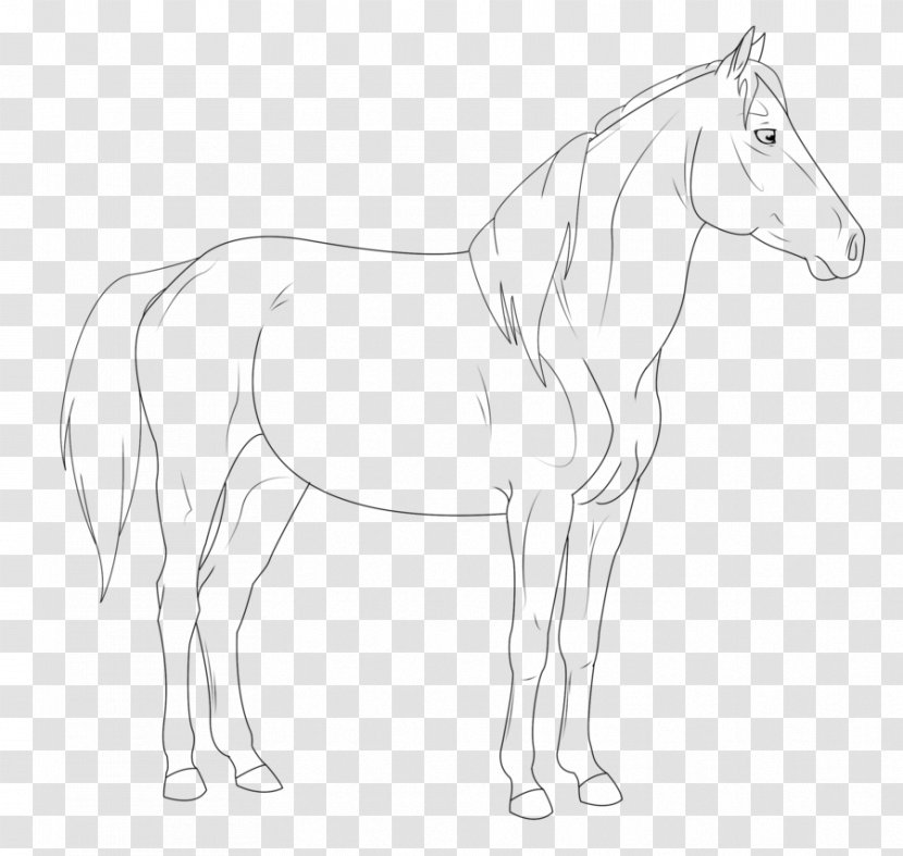 Mane Foal Mustang Stallion Colt - Line Art Transparent PNG