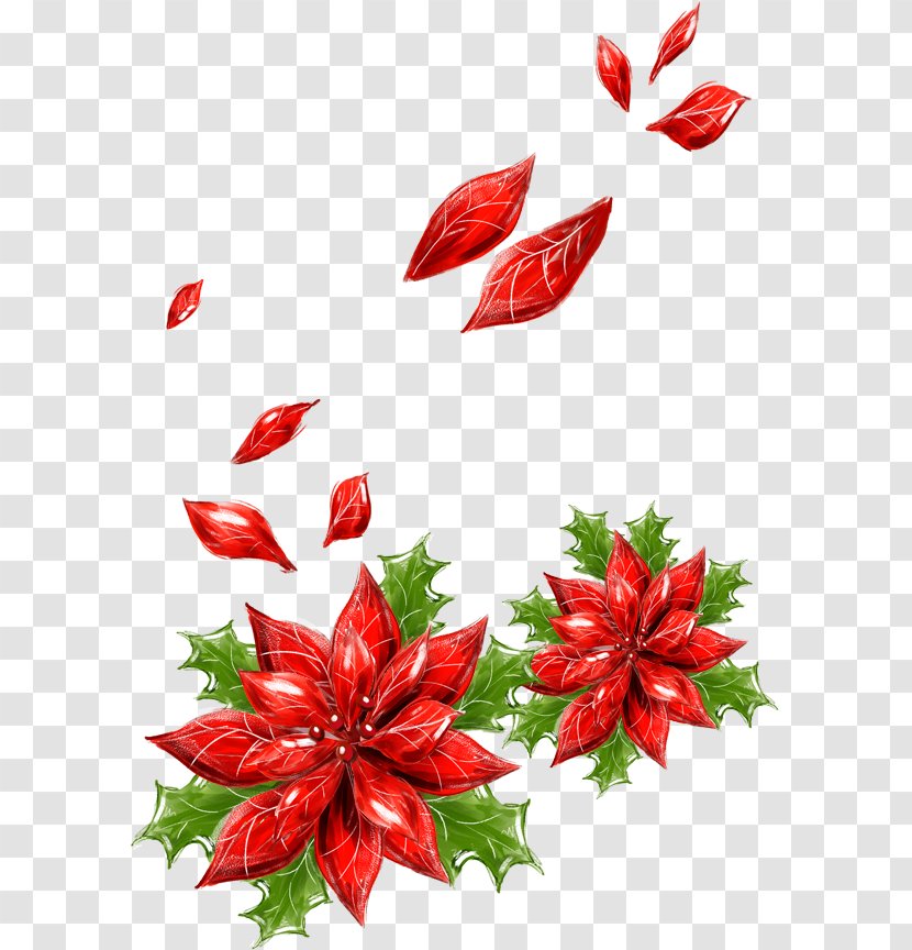 Christmas Card Greeting Wish - Plant - Flower Petals Floating Transparent PNG