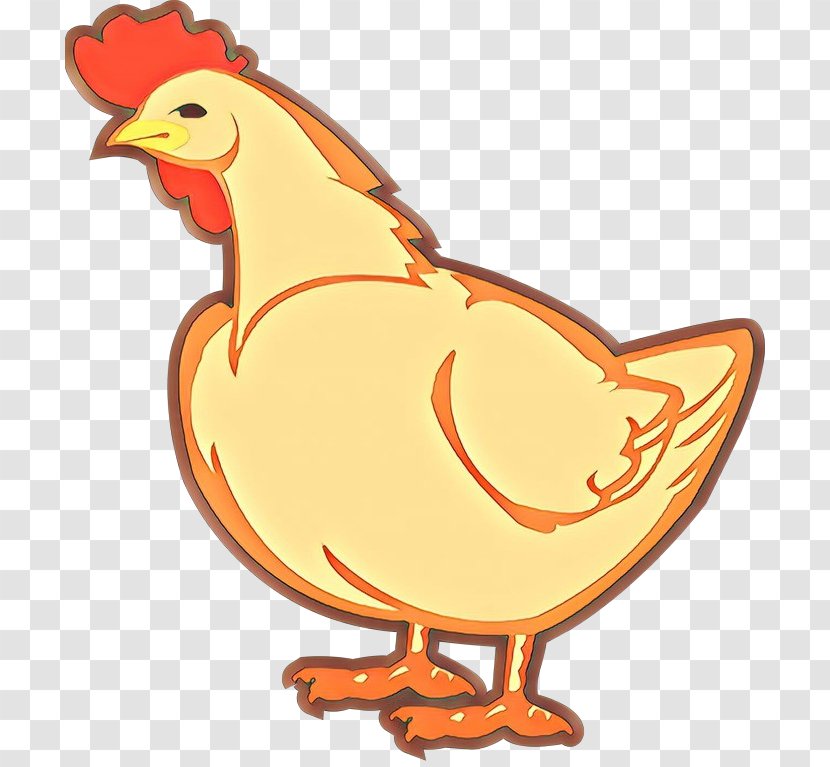 Orange - Chicken - Poultry Livestock Transparent PNG