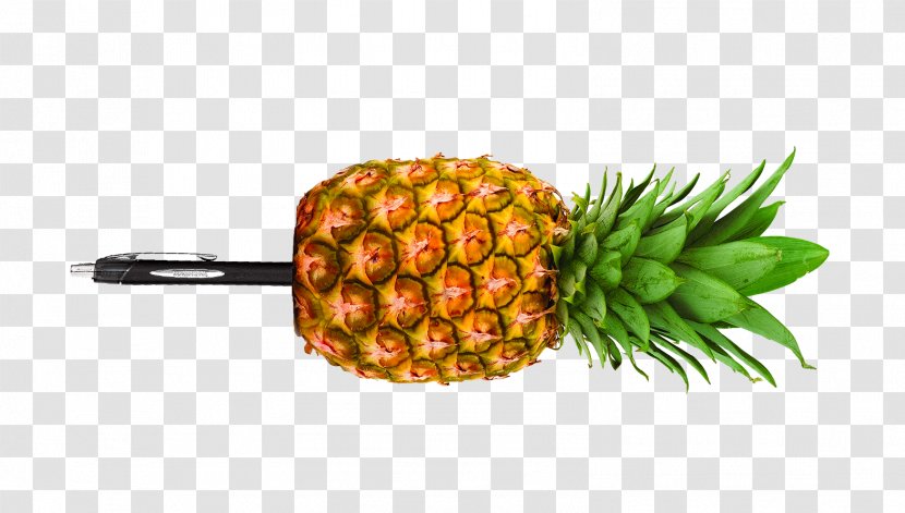 Pen-Pineapple-Apple-Pen Food PPAP - Bromeliaceae - Pinapple Transparent PNG