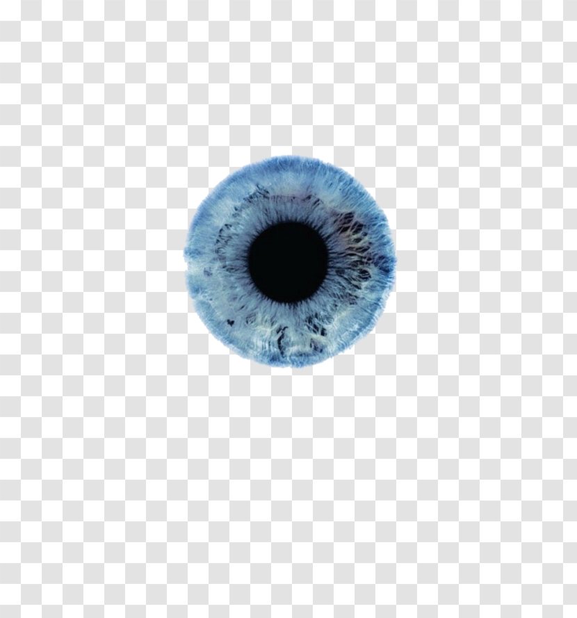 Iris Eye Color Human Pupil - Flower - Auryn Background Transparent PNG
