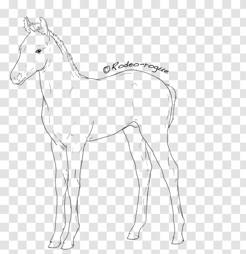 Mane Foal Mustang Colt Stallion Transparent PNG