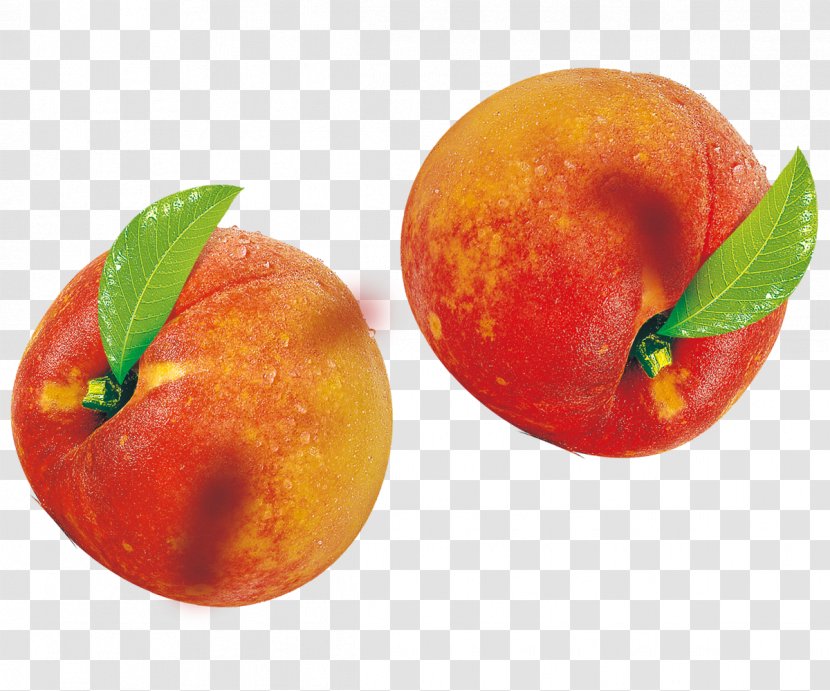 Peach Blood Orange Fruit - Vegetarian Food Transparent PNG