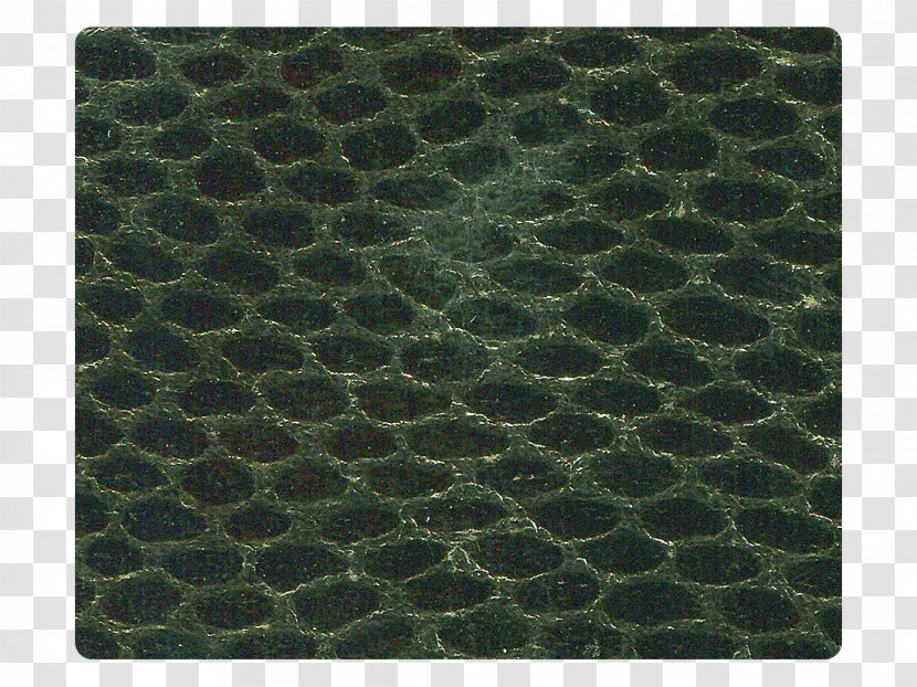 Place Mats - Grass - Silk Material Transparent PNG