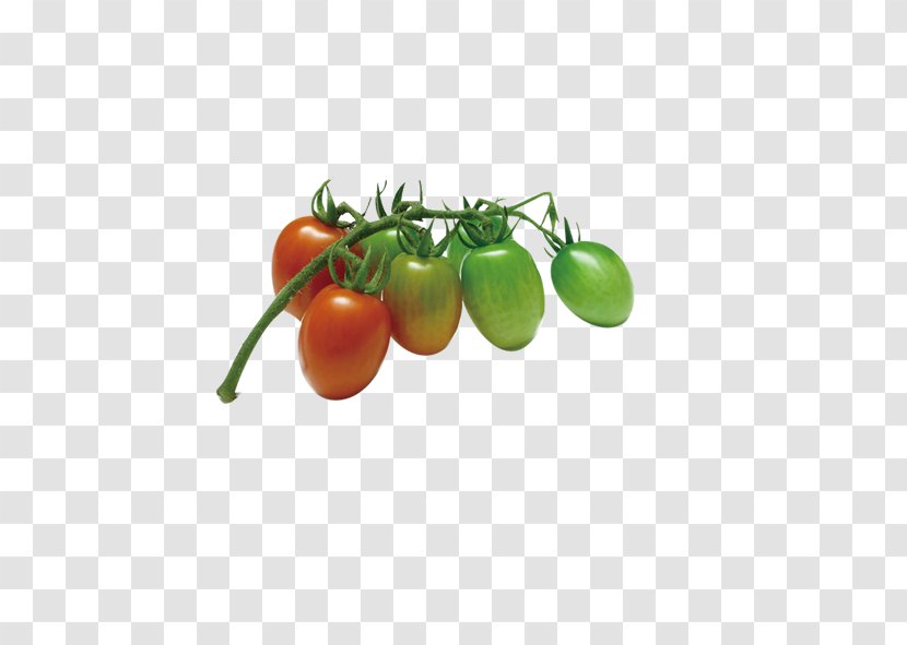 Cherry Tomato Vegetable Fruit Food Onion - Grape - Tomatoes Transparent PNG