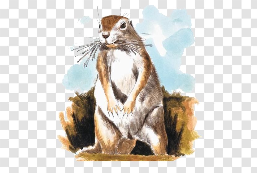 Chipmunk Mole Watercolor Painting Illustration - Squirrel Transparent PNG