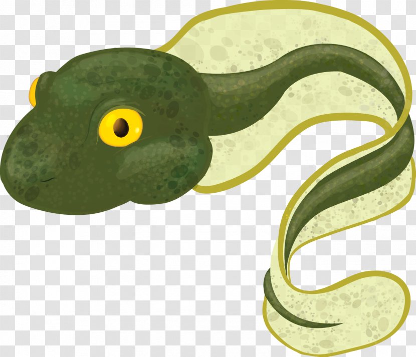 Frog Fauna - Serpent Transparent PNG