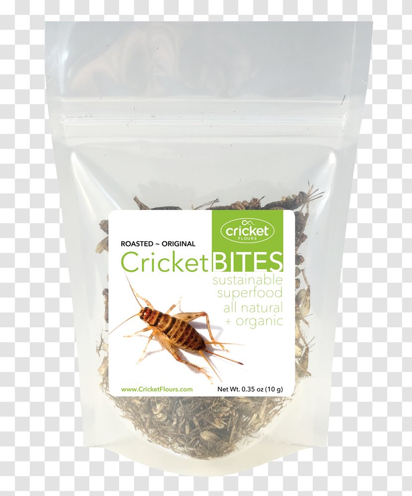 Cricket Flour Portland Flavor Food Entomophagy - Etsy - Insect Transparent PNG