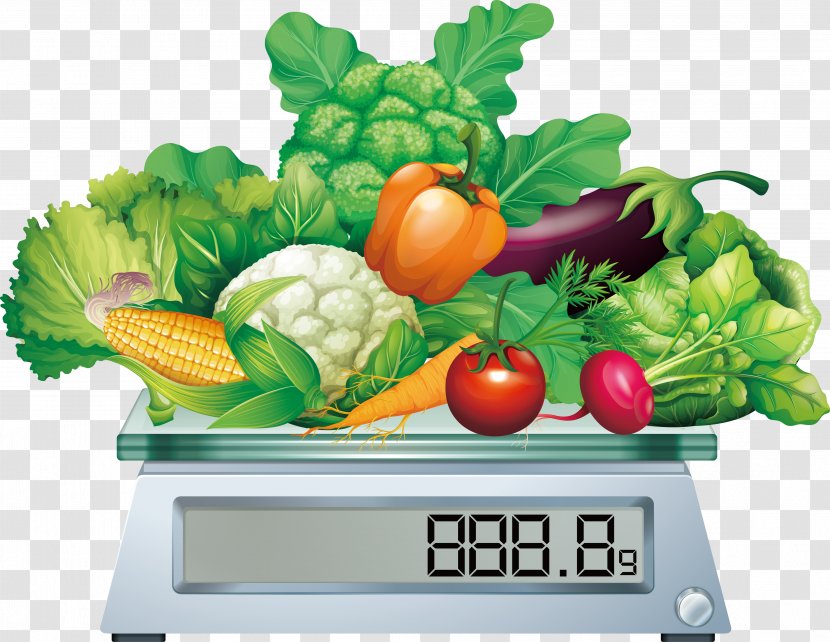 Vegetable Flashcard Stock Photography Illustration - Local Food - Put On The Vegetables Called Transparent PNG