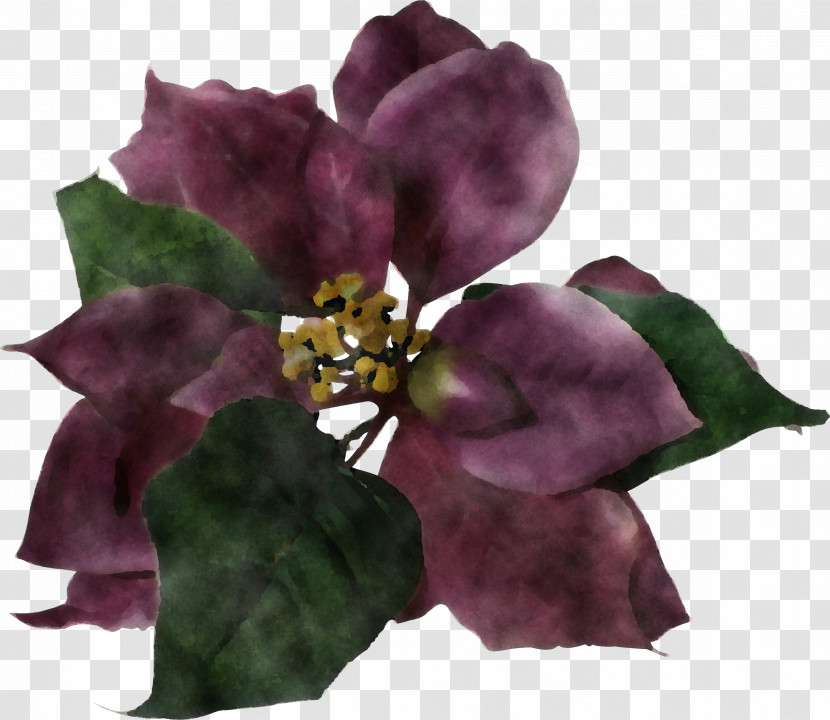 Artificial Flower Transparent PNG