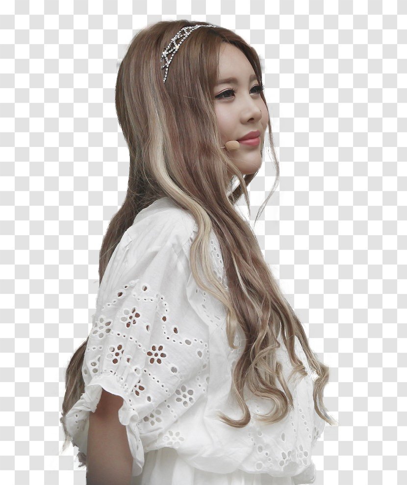 Wig Long Hair Brown Headpiece - Silhouette Transparent PNG