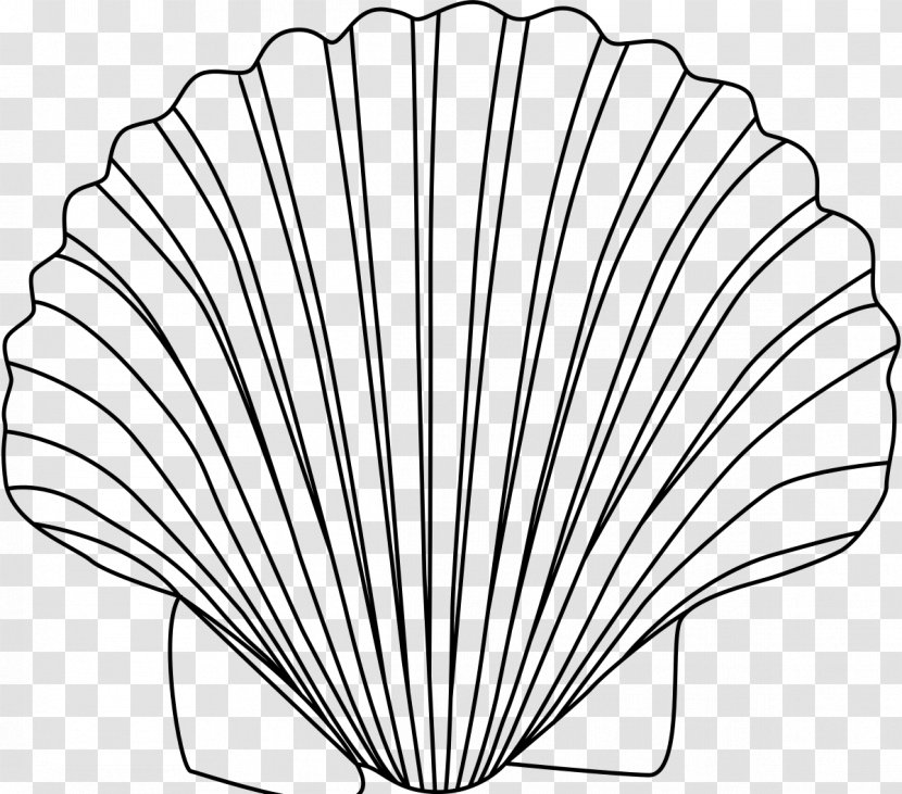 Clam Drawing Seashell Clip Art - Leaf - Shells And Starfish Transparent PNG