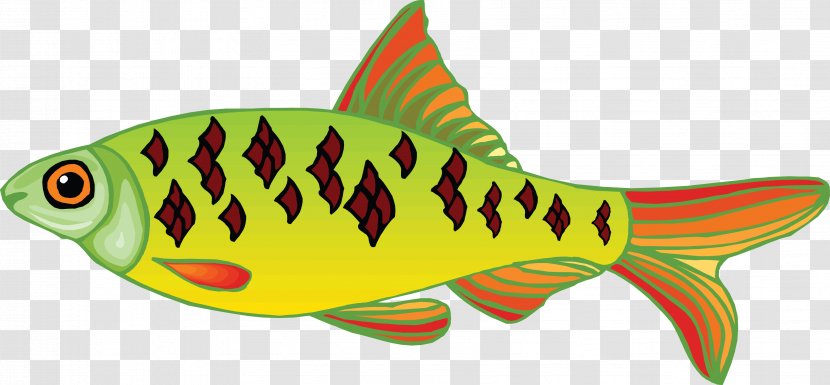 Fish Clip Art - Presentation Transparent PNG