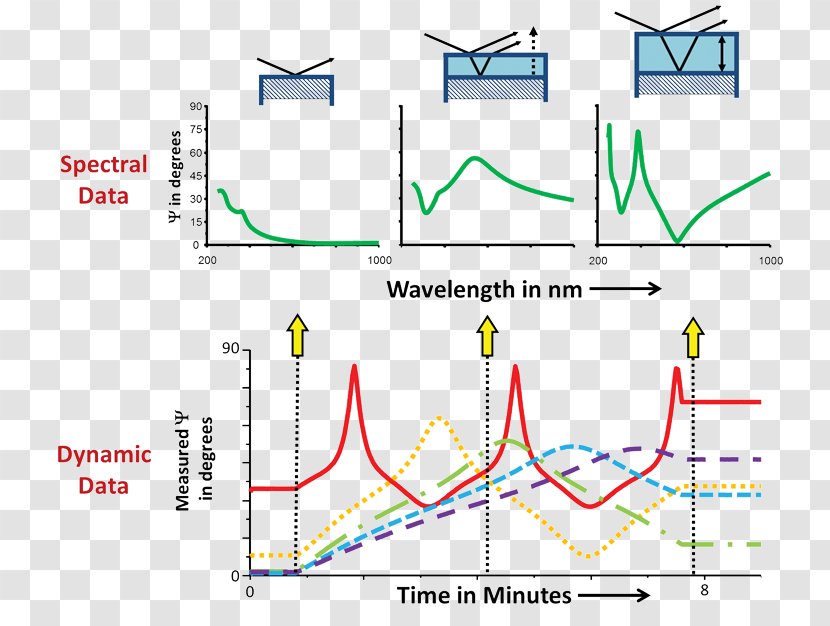 Computer Software Data In Situ Ellipsometry Freeware - Plot - Spectroscopy Transparent PNG