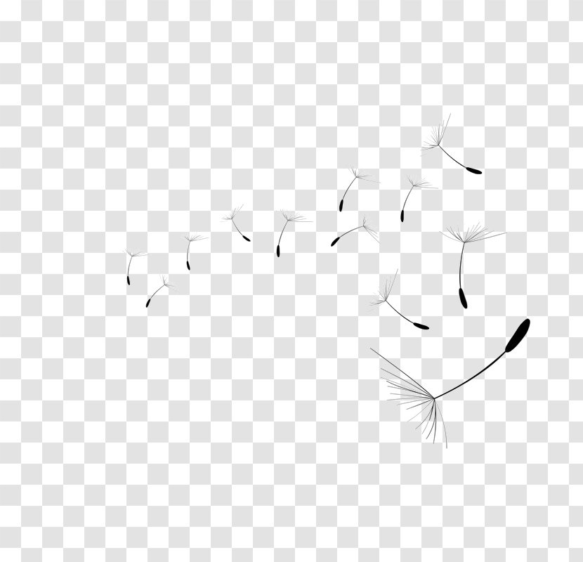 Line Art Drawing White Desktop Wallpaper Feather - Artwork Transparent PNG