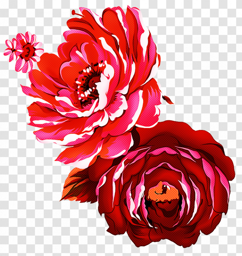 Garden Roses Transparent PNG