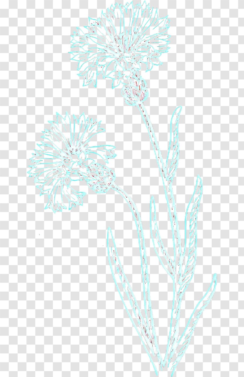 Floral Flower Background - Turquoise - Wildflower Transparent PNG