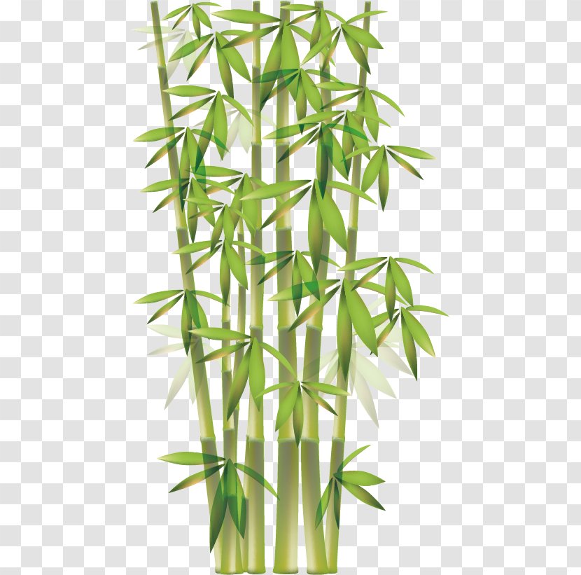 Bamboo Euclidean Vector Clip Art - Flowerpot - Material Transparent PNG
