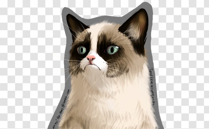 Grumpy Cat Animal Shelter - Silhouette Transparent PNG