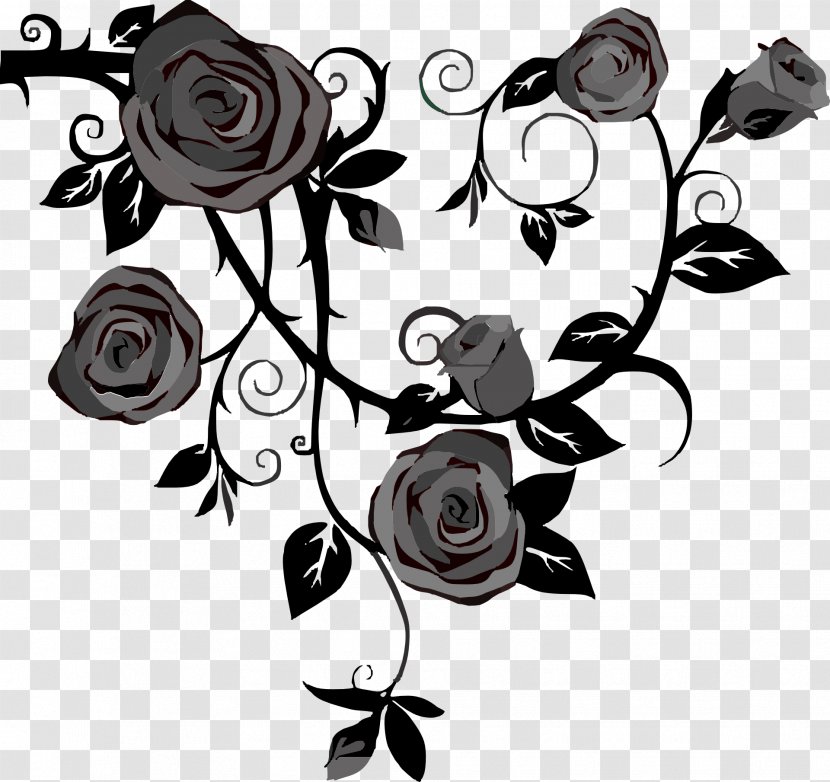 Rose Vine Drawing Thorns, Spines, And Prickles Clip Art - Order - Black Transparent PNG