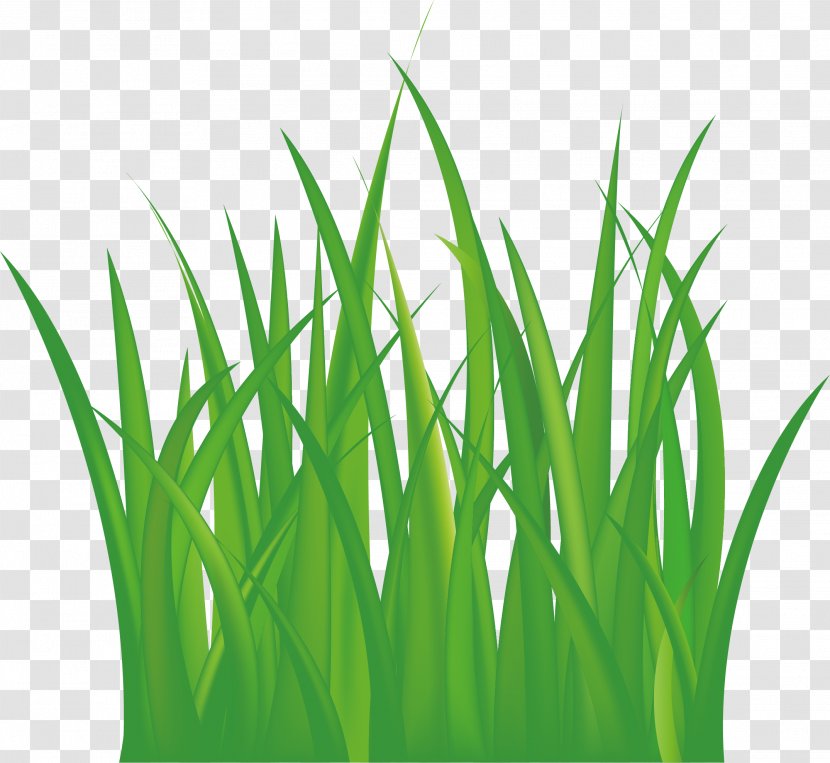 Grassland Euclidean Vector - Space - Grass Transparent PNG