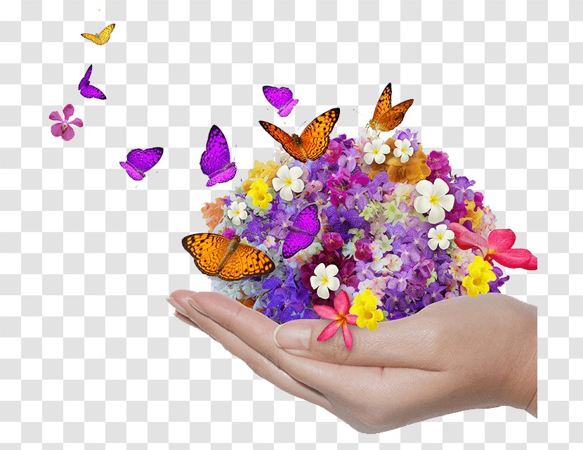 Blessing Family Image Flower Morning Transparent PNG