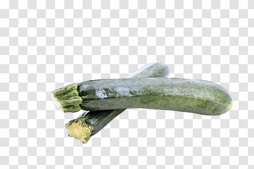 Vegetable Plant Zucchini Luffa Food Transparent PNG