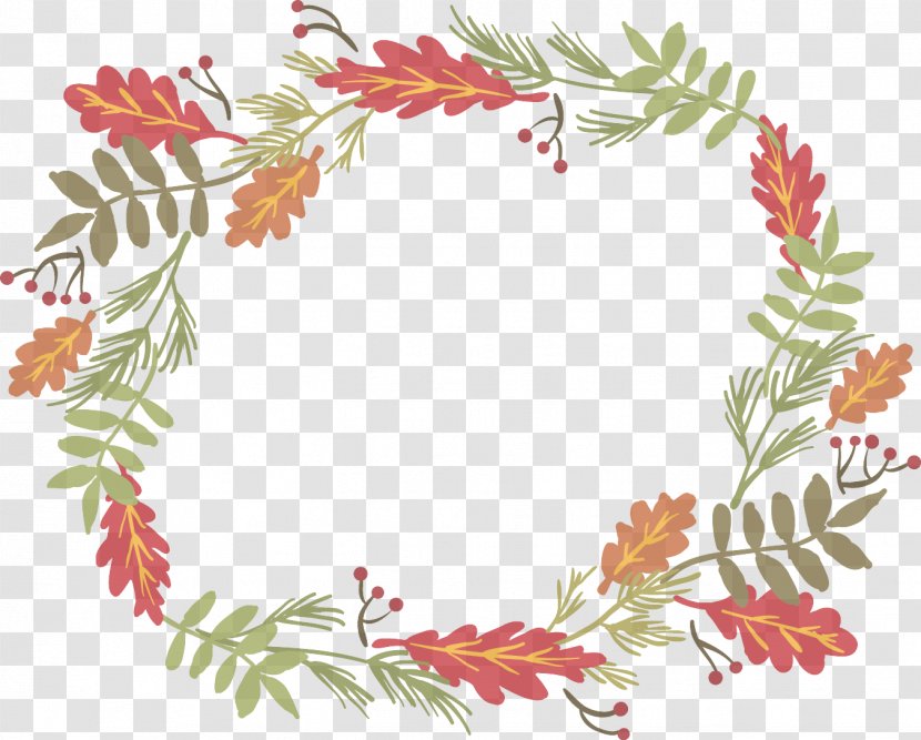 Holly - Pine Family Transparent PNG