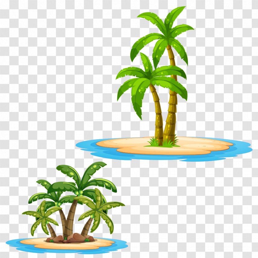 Arecaceae Royalty-free Tree Illustration - Green - Coconut Transparent PNG