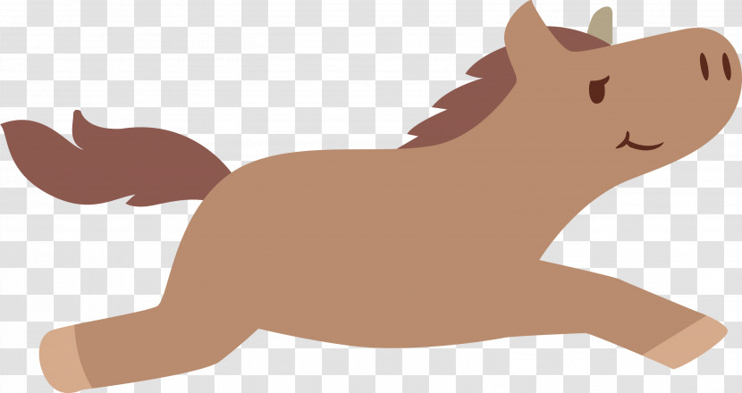 Dog Cat Kitten Snout Whiskers Transparent PNG