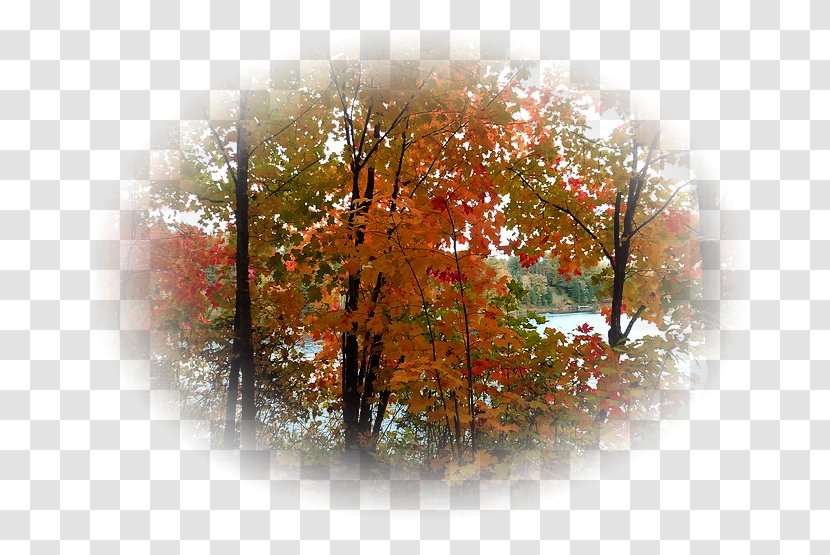 Autumn Landscape Desktop Wallpaper Clip Art - Advertising Transparent PNG