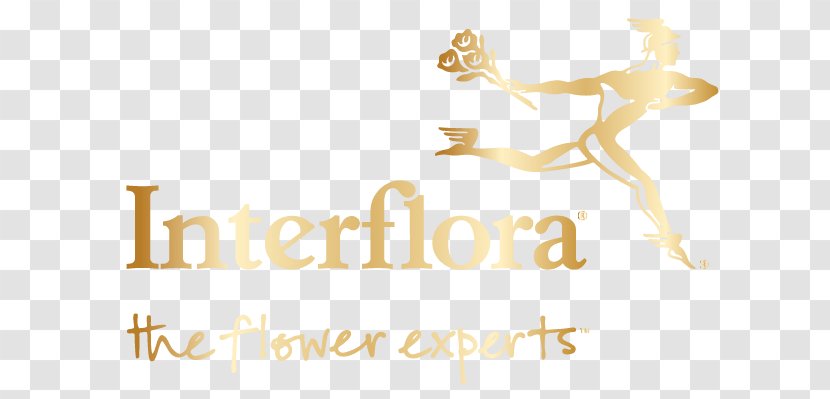 Interflora Flower Bouquet Delivery Discounts And Allowances - Happiness Transparent PNG
