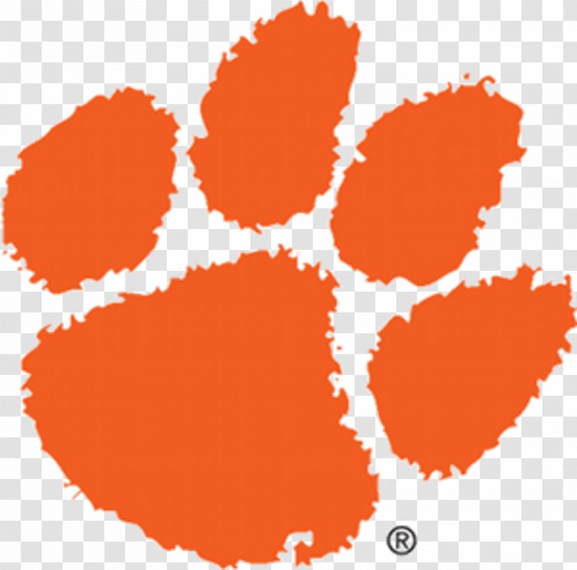 Clemson University Tigers Football Women's Basketball Baseball Men's - Symbol - American Transparent PNG