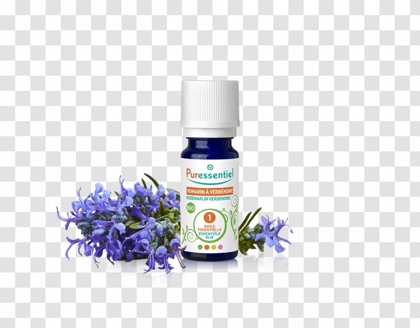 Essential Oil Syzygium Aromaticum Gum Rockrose Ravensara Aromatica - Cosmetics Transparent PNG