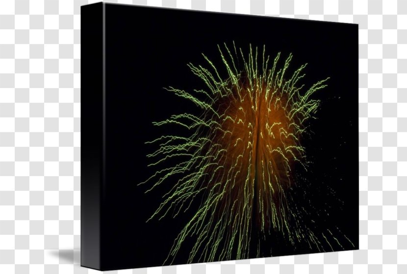 Imagekind Art Photography Poster Fireworks - Stock - Paper Firework Transparent PNG