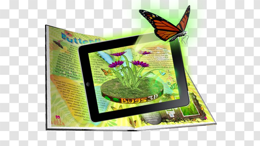 Ecosystem Fauna - Invertebrate - Toy Books Transparent PNG