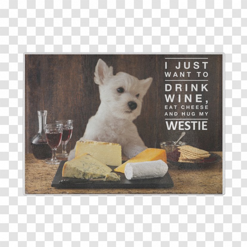 Dog Breed West Highland White Terrier Puppy Snout Transparent PNG