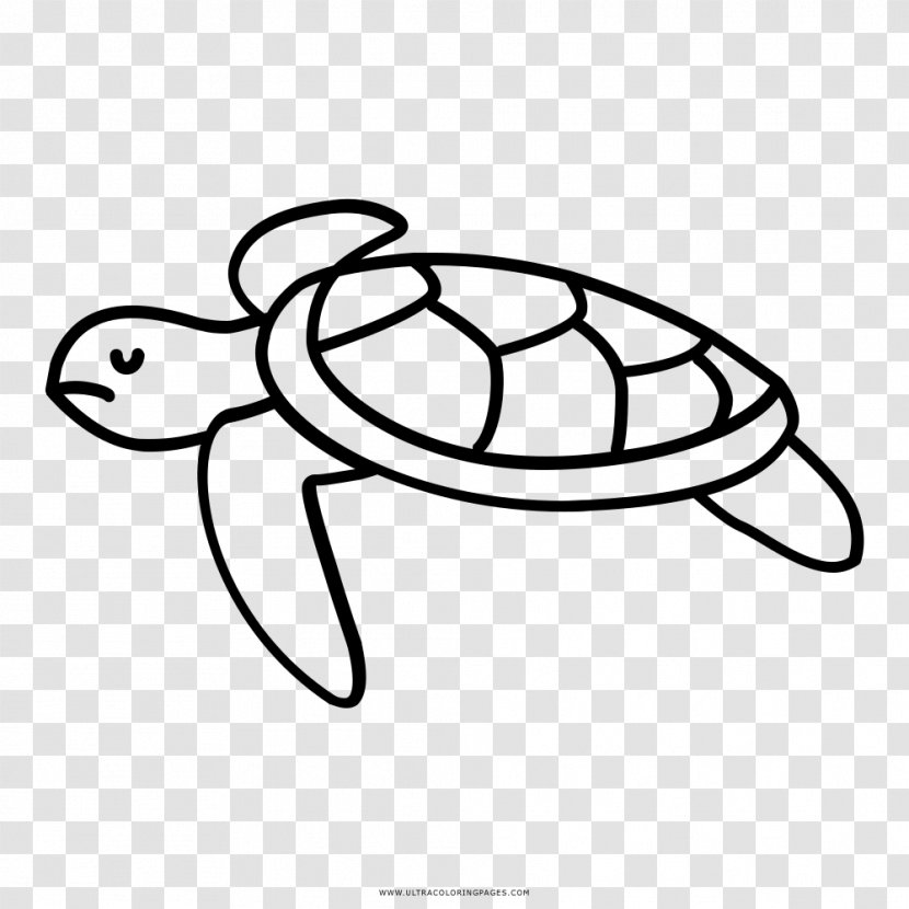 Turtle Drawing Cheloniidae Animal Clip Art - Sea Transparent PNG