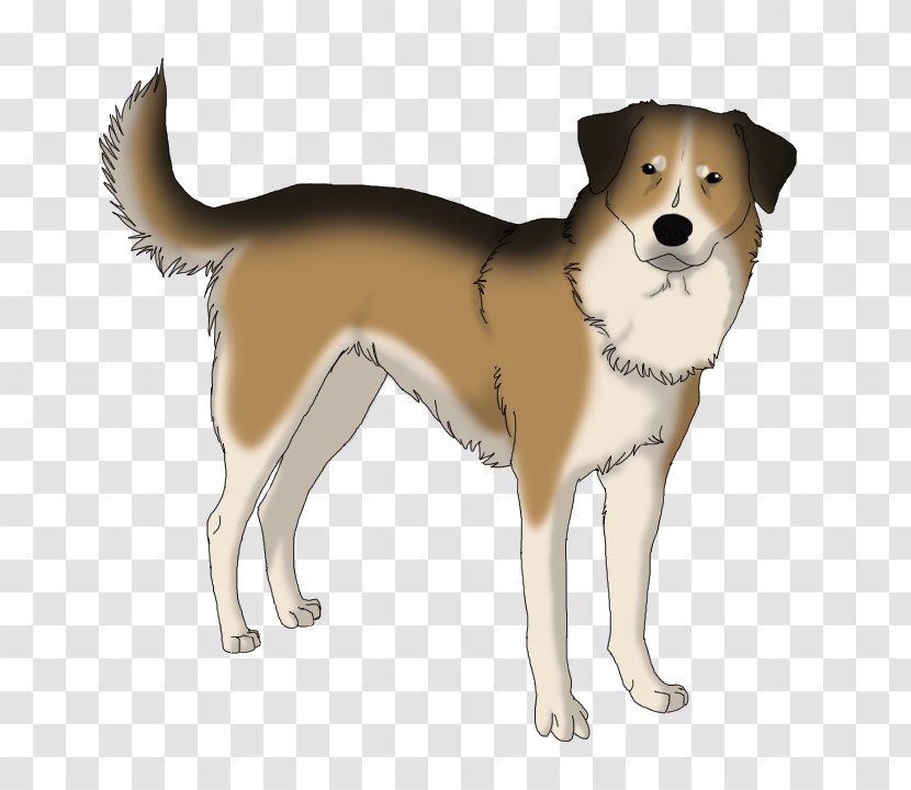 Ancient Dog Breeds Canaan Norwegian Lundehund Companion - Norway - Sheperd Transparent PNG