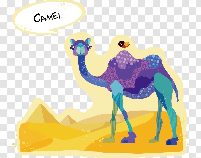 Dromedary Bactrian Camel Drawing Cartoon - Livestock - Cartoons Transparent PNG