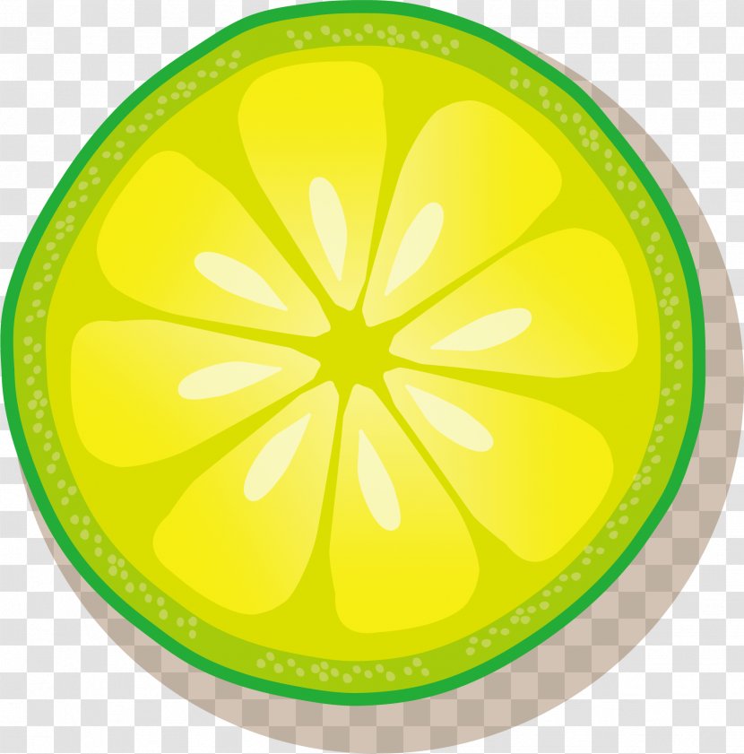 Lemon Lime - Vector Hand-painted Slices Transparent PNG