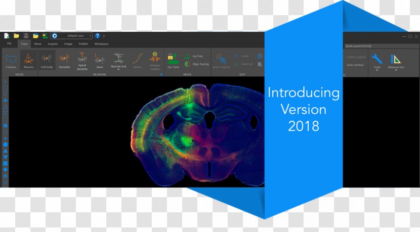 MBF Bioscience The Connect: Dejavu Neuroscience Privacy Policy Light - Sound - Web Headers Transparent PNG