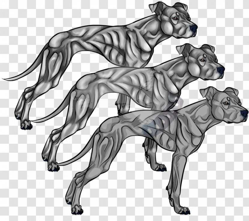 American Pit Bull Terrier Line Art Drawing - Deviantart - Pitbull Transparent PNG