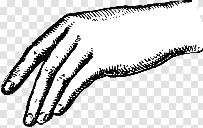 Hand Clip Art - Invertebrate - Point Transparent PNG