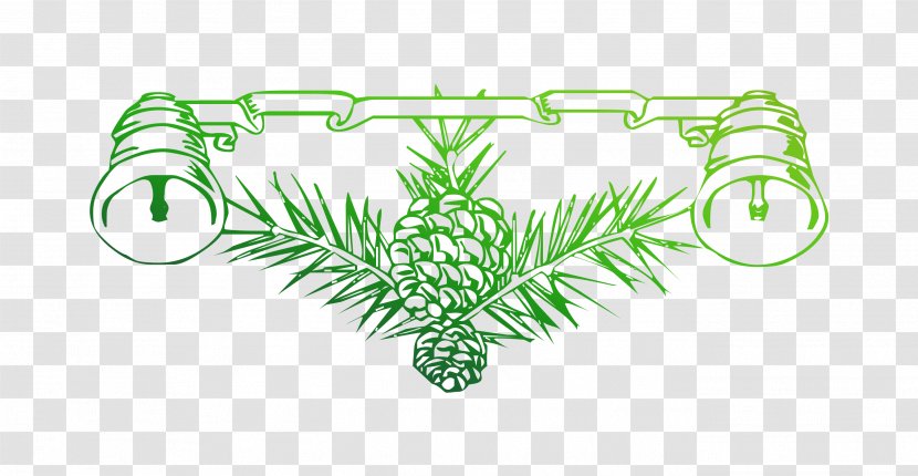 Fir Pine Leaf Plant Stem Font - Branch Transparent PNG