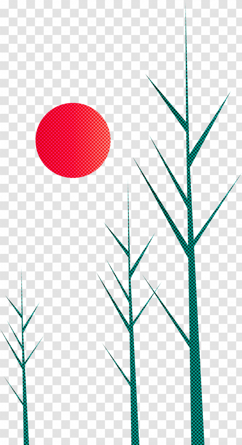 Forest Tree Transparent PNG