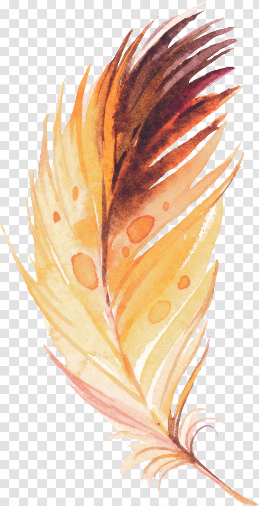 Indigenous Peoples Feather Tribe - Leaf - Hand Painted Transparent PNG
