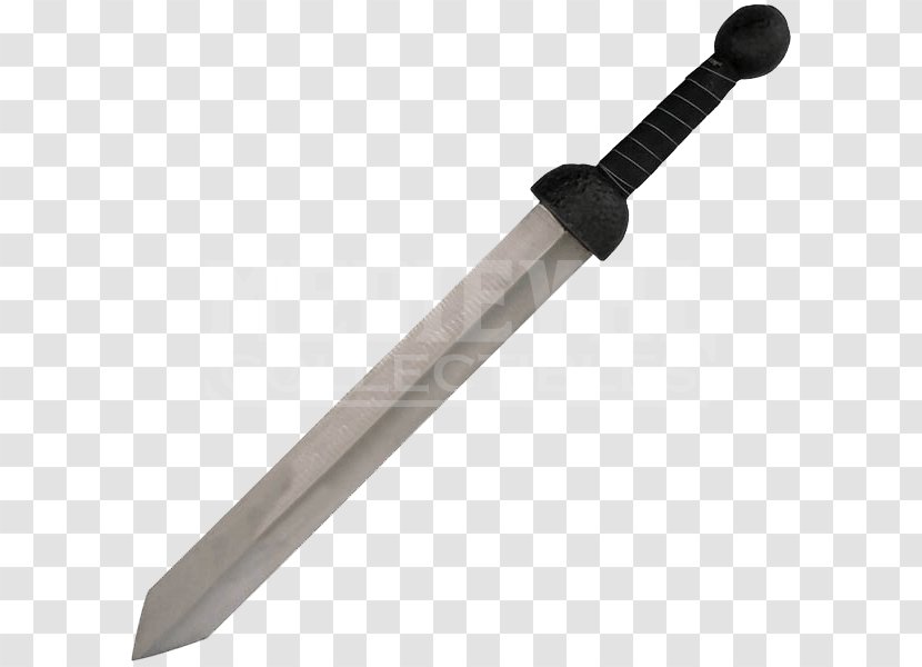 Gladius Ancient Rome Knife Sword Gladiator - Viking Transparent PNG