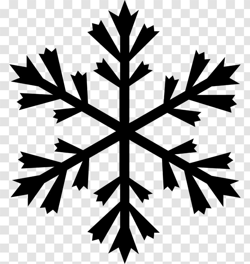 Snowflake Vector Graphics Illustration Clip Art - Plant - Frame tree Transparent PNG